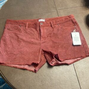 NWT Carve Designs Corded Shorts Red Size 16